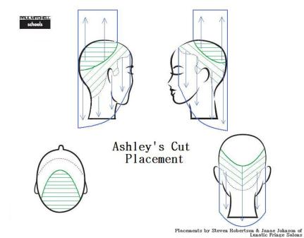  Ashley's Hair Cut Sectioning