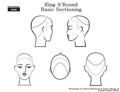 Ring A'Round Basic Sectioning